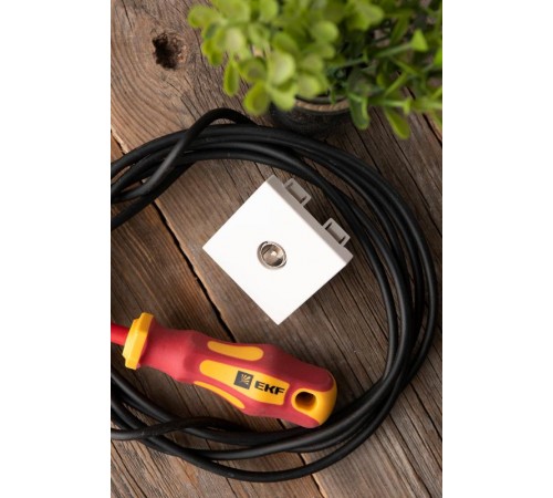 Розетка ТВ  (ширина 2 модуля)  E2MA00-027-10  EKF