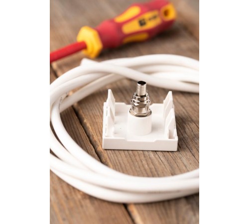 Розетка ТВ  (ширина 2 модуля)  E2MA00-027-10  EKF