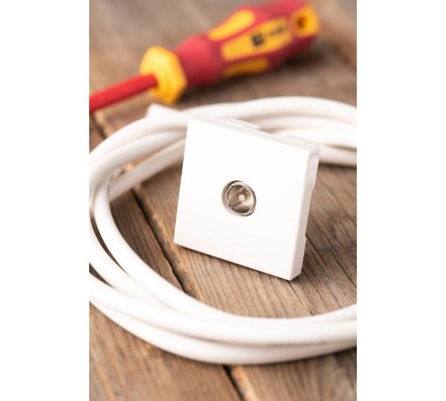 Розетка ТВ  (ширина 2 модуля)  E2MA00-027-10  EKF