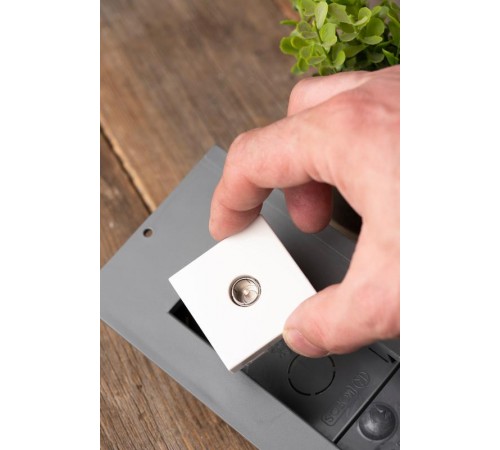 Розетка ТВ  (ширина 2 модуля)  E2MA00-027-10  EKF