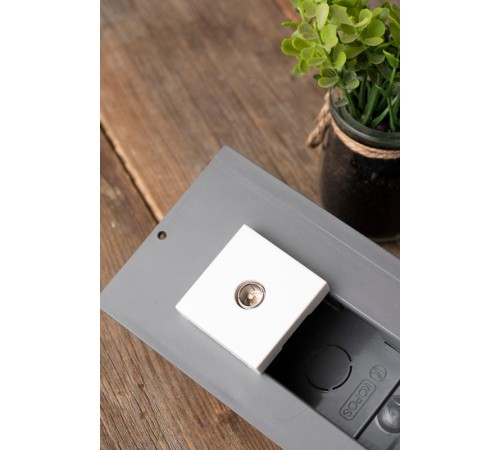 Розетка ТВ  (ширина 2 модуля)  E2MA00-027-10  EKF