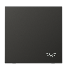 Клавиша с символом "свет"; антрацит  AL2990LAN  Jung