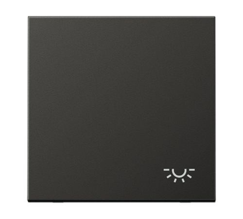 Клавиша с символом "свет"; антрацит  AL2990LAN  Jung