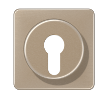 Крышка для выключателя с замком; золотая бронза  CD528GB  Jung