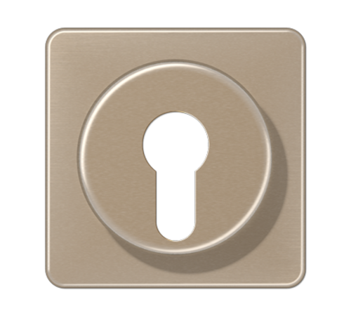 Крышка для выключателя с замком; золотая бронза  CD528GB  Jung