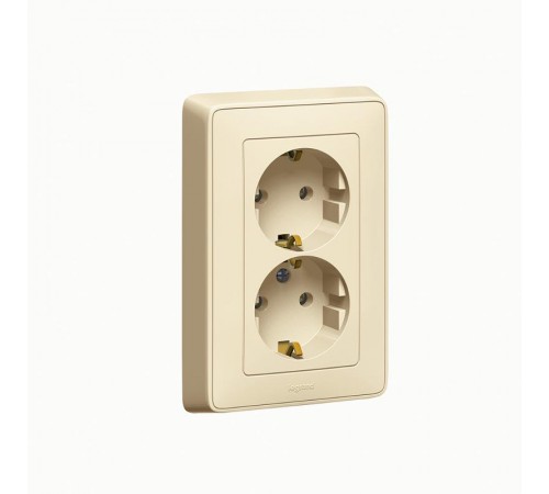 Cariva Сл. кость Розетка 2-ая с/з литая  773727  Legrand