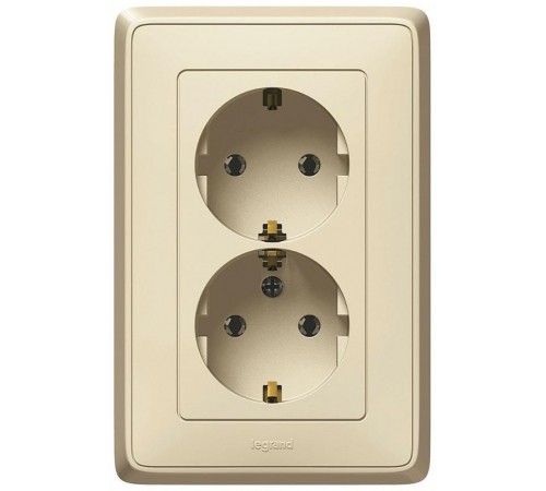 Cariva Сл. кость Розетка 2-ая с/з литая  773727  Legrand