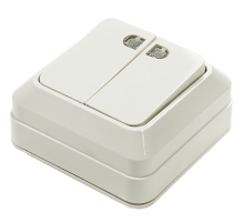 Выключатель двухклавишный с подсветкой BOLLETO белый накладной 7123  4680005959778  IN HOME