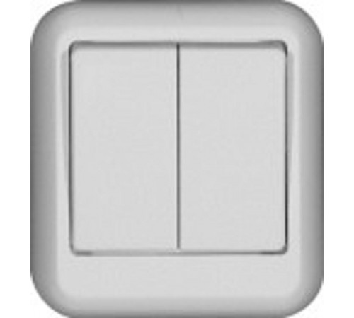 ПРИМА О/У Белый Выключатель 2-клавишный 6А (в сборе) (опт.упак.)  A56-029-B  Schneider Electric