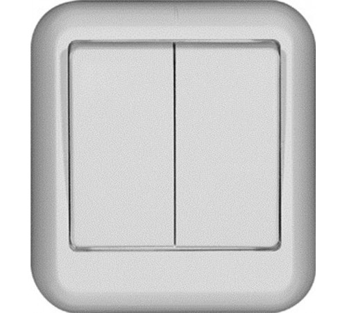 ПРИМА О/У Белый Выключатель 2-клавишный 6А (в сборе) (опт.упак.)  A56-029-B  Schneider Electric