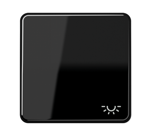 Клавиша с символом "освещение"; черная CD590LSW Jung