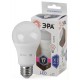 Лампа светодиодная LED 17Вт Е27 6000К A60-17W-860-E27  Б0031701  ЭРА