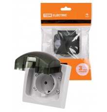Розетка 2П+З скрытой установки IP54 16А "Вуокса" TDM  SQ1803-0108  TDM