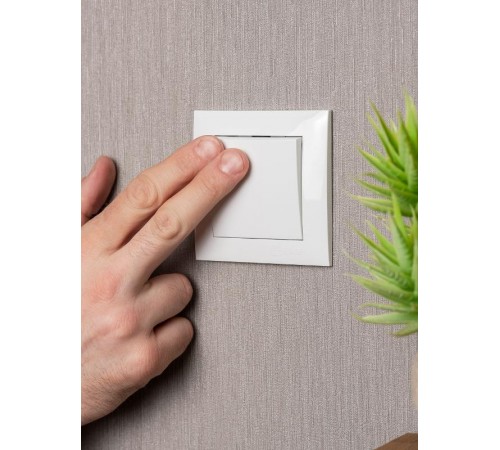 Валенсия выключатель 1-кл. 10А белый EKF PROxima   EWV10-021-10   EKF