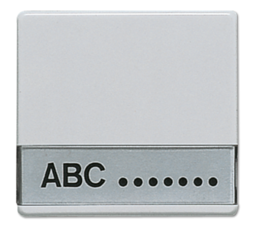Клавиша с полем для надписи для выключателей  600NA  Jung