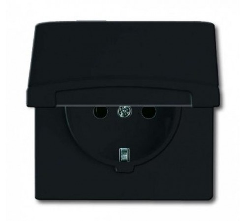 Розетка 20 EUGK-35-101, с крышкой, Allwetter44, IP44, черный/антрацит, уплотн. кольцо в комплекте, 16А, 250В.  2064-0-0290   2CKA002064A0290  ABB