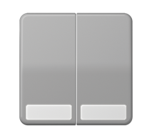 Клавиши для сдвоенных выключателей и кнопок с полем для надписи; серые  CD595NAGR  Jung