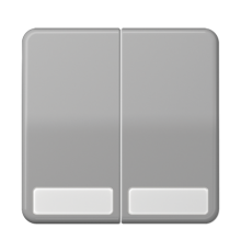 Клавиши для сдвоенных выключателей и кнопок с полем для надписи; серые  CD595NAGR  Jung