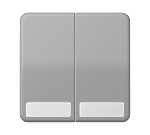 Клавиши для сдвоенных выключателей и кнопок с полем для надписи; серые  CD595NAGR  Jung