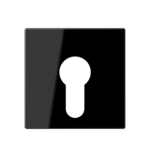 Крышка для выключателя с замком; черный  A525PLSW  Jung