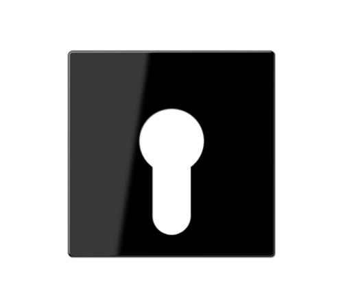 Крышка для выключателя с замком; черный  A525PLSW  Jung