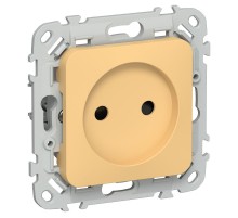 FLITE Розетка без заземления со шторками быстрозажимные клеммы 10А РСш01-1-ФлЗ золотарник  FI-R13-10-1-K90  IEK