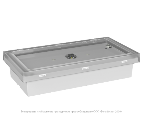 Светильник аварийного освещения BS-BRIZ-10-L2-ELON  a16988  Белый свет