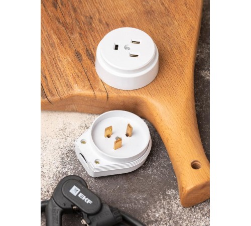 Разъем РШ-ВШ 32А 250В 2P+PE (ОУ) пластиковый бел. EKF PROxima  AS-250-O-01  EKF