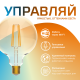 Лампа светодиодная филаментная Smart Home DIM+CCT E27 G95 Golden 6,5 Вт 2000-5500 К 1/40  1340112  Gauss