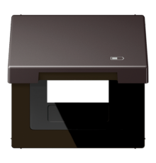 Рамка с подпружиненной крышкой для USB-механизмов, с центральной платой AL2990KLUSBD Jung