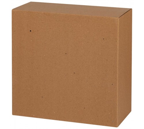 Светильник пылевлагозащищенный под лампу для ЖКХ НБП 03-100-001 без лампы, в инд. упаковке 100Вт, Е27, 220В, IP54, УЗ  Б0048420  ЭРА