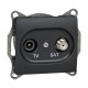 Glossa Антрацит Розетка TV-SAT оконечная 1DB  GSL000797  SE