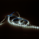 Лента светодиодная Basic LED 2835/60 12V 4,8W/m 312lm/m 3000K 8mm IP20 2m 1/100  BT003  Gauss