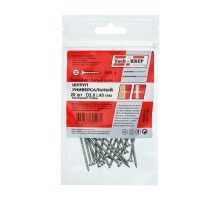 Саморез ШУц 3,0х40 пот. гол. (20 шт) - пакет ( 0,025 кг)  102414  Tech-KREP