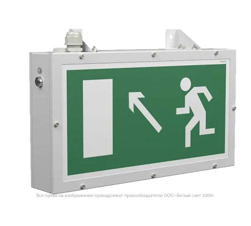 Световой указатель аварийного освещения BS-FLAGMAN-81-S1-INEXI3-FELS  a17396  Белый свет