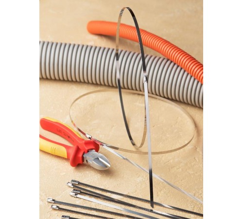 Хомут AISI 304 из нержавеющей стали, 4.6x840 (100 шт.) FlexLock PROximaplc-fl-tss-304-4.6x840EKF