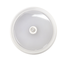 Светильник светодиодный СПБ-2Д-КРУГ 24Вт 230В 4000К 1700лм 310мм с настраиваемым датчиком белый  4690612020716  IN HOME