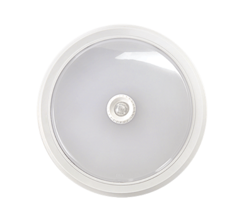 Светильник светодиодный СПБ-2Д-КРУГ 24Вт 230В 4000К 1700лм 310мм с настраиваемым датчиком белый  4690612020716  IN HOME