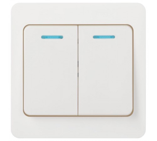 Выключатель Intro Style 7-105-01 двойной с подсветкой, 10А-250В, IP20, СУ, белый  Б0060631  Intro