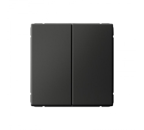 ArtGallery Базальт Переключатель 2-клавишный , 10АХ, механизм, быстрозажим. клем.  GAL001465S  SE