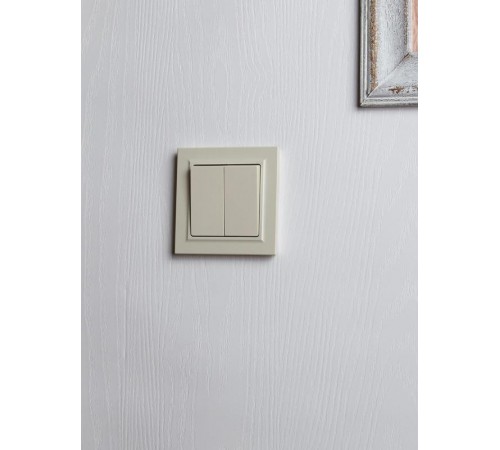 BRITE Выключатель 2-клавишный проходной 10А ВС10-2-6-БрКр бежевый  BR-V22-0-10-K10  IEK