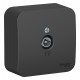 Blanca Антрацит О/У с изолирующей пластиной Розетка TV  BLNTA000016  SE