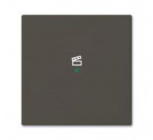 SRS-1-95 Клавиша одинарная free@home, сцена, Basic 55, цвет chateau-black  6220-0-0689   2CKA006220A0689  ABB