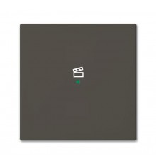 SRS-1-95 Клавиша одинарная free@home, сцена, Basic 55, цвет chateau-black  6220-0-0689   2CKA006220A0689  ABB