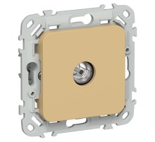 FLITE Розетка TV экран. проходная тип M РТВм-1-1-2-ФлШм шамуа  FI-A13-P-K89  IEK