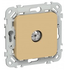 FLITE Розетка TV экран. оконечная тип M РТВм-1-1-1-ФлШм шамуа  FI-A13-O-K89  IEK