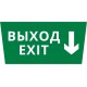 Пиктограмма ДСО-101-IP65 "Выход - вниз"  62293DEK  DEKraft
