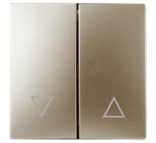 12-6203-04 Клавиши для 12-1109, 12-1110, 14-1109, 14-1110, шампань   Б0047853  ЭРА