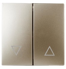 12-6203-04 Клавиши для 12-1109, 12-1110, 14-1109, 14-1110, шампань   Б0047853  ЭРА