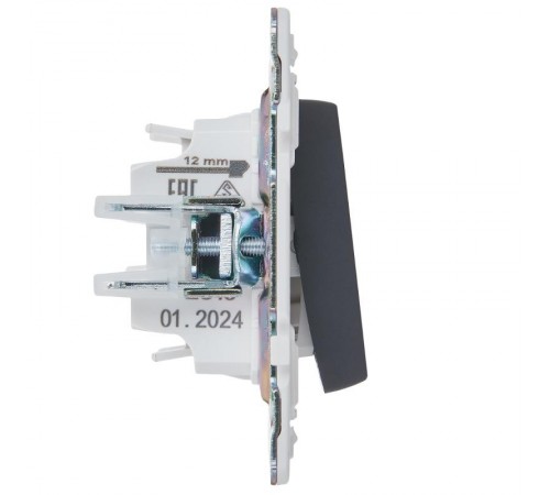 SKANDY Выключатель 1-клавишный перекрестный 10А SK-V03T титан   SK-V13-0-10-K48  IEK